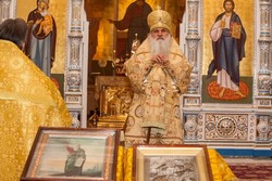 Thumb  mg 0481 jzwfk bevril preview