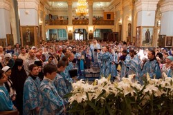 Thumb  mg 5711 preview