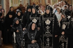 Thumb  mg 1164 preview