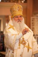 Thumb  mg 1807 preview