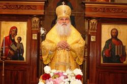 Thumb  mg 7046 preview