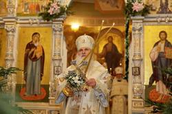 Thumb  mg 9946 preview