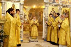 Thumb  mg 0786 preview