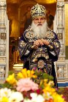 Thumb  mg 8249 preview