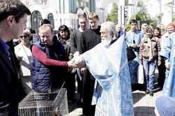 Thumb  mg 0100 preview