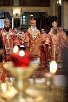 Thumb  mg 9425 preview