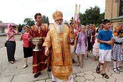 Thumb img 9825 preview