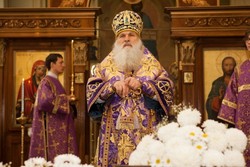 Thumb  mg 5317 preview