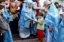 Thumb img 2439 preview