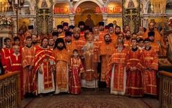 Thumb  mg 7286 preview