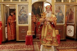 Thumb  mg 7359 preview