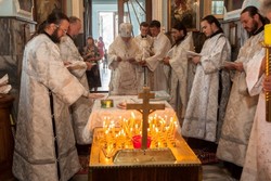 Thumb  mg 4910 1 preview