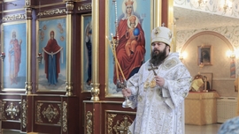 Thumb 20201018090737 img 2196 01