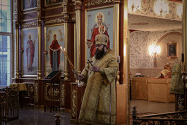 Thumb 20210201083358 img 3494 %d0%bc%d0%bc 