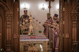 Thumb 20210429085703 img 8451 %d0%bc%d0%bc 