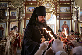 Thumb 20210509085149 img 2978 %d0%bc%d0%bc%d0%bc