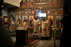 Thumb 20220212083322 img 8846 %d0%92%d0%92%d0%92 