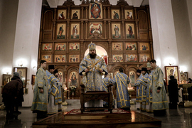 Thumb 20220215082858 img 9579 %d0%92%d0%92%d0%92