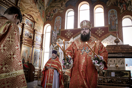 Thumb 20220218083017 img 0311 %d0%92%d0%92%d0%92 