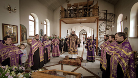 Thumb 2022 03 26 20 17 20  1  ddd