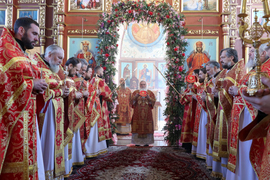 Митрополит Викентий совершил Божественную литургию в Свято-Воскресенском кафедральном соборе